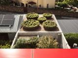 FELSCH DEVELOPMENTS KIRRIBILLI