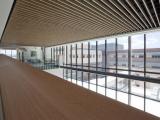 MULTIPLEX