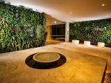 BRONXX CONSTRUCTIONS