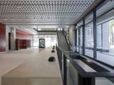 MULTIPLEX