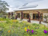 Viva Living Homes