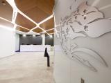Built NSW Pty Ltd