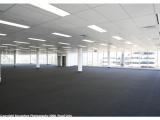 Whitehorse Constructions Pty Ltd