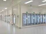 Buildcorp Contracting NSW