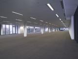Lipman Pty Ltd