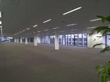 Lipman Pty Ltd