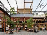 Billbergia Constructions