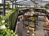 Billbergia Constructions