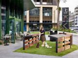Billbergia Constructions