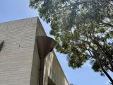 Lime Building Group