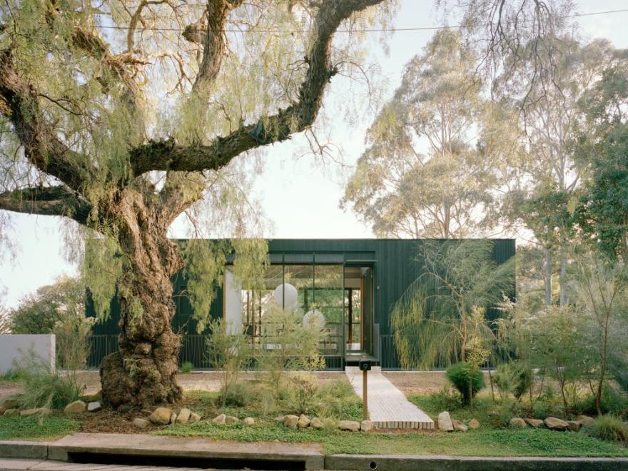 Architectural Renovations & Carpentry